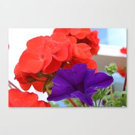 RED AND PURPLE  Canvas Print