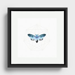 Rune Moth Framed Canvas