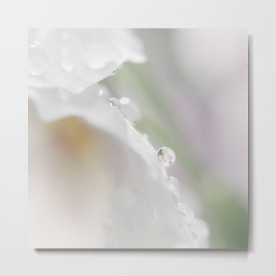 Tiny pearls Metal Print