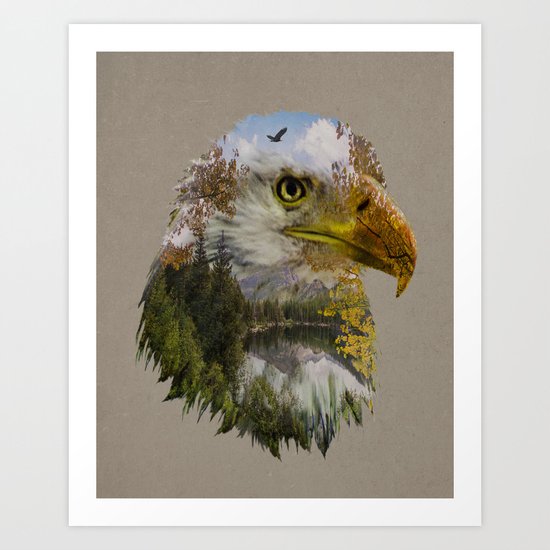 The American Bald Eagle Art Print