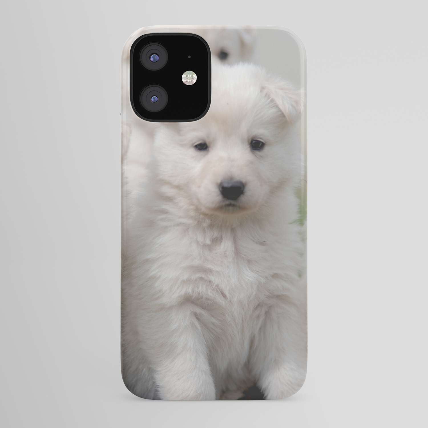 Sugar Sweet 4 White Swiss Shepherd Dogs Iphone Case By Tanjariedel Society6