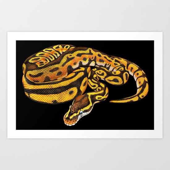 Ball Python Art Print by Tim Jeffs Art | Society6