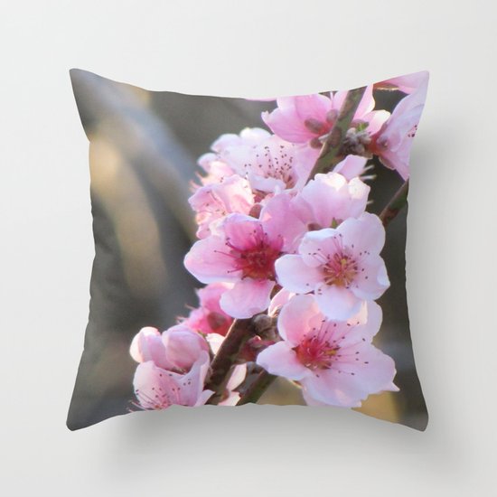 Peaches Throw Pillow