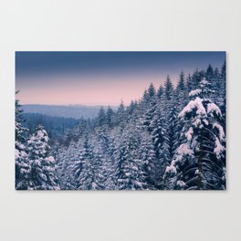 Winter view 2 Canvas Print