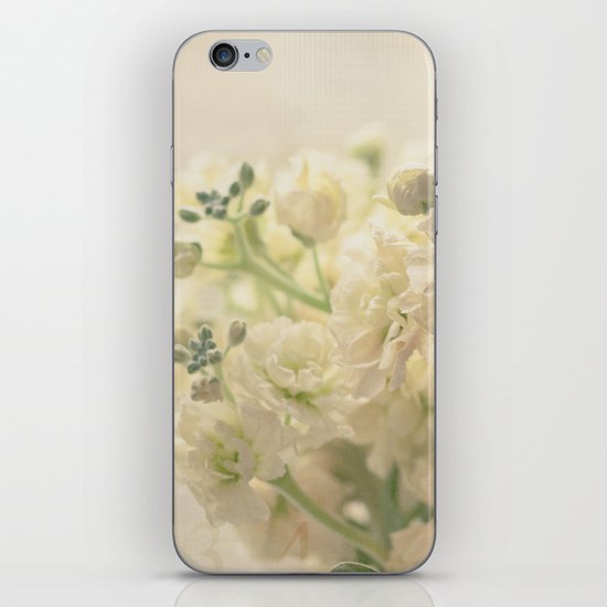 French Market iPhone & iPod Skin