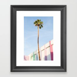 Palm at the Saguaro Framed Art Print