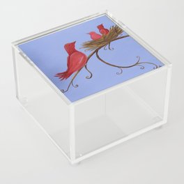 Mama and Baby Birds Acrylic Box