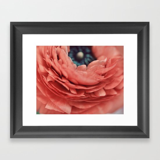 apricot Framed Art Print