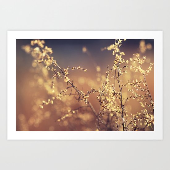 Evening Art Print