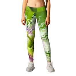 Passion Fruit Tropical Flower on Vine Leggings