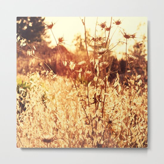 The Golden Hour Metal Print