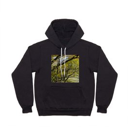 Yellow autumn forest walk  Hoody