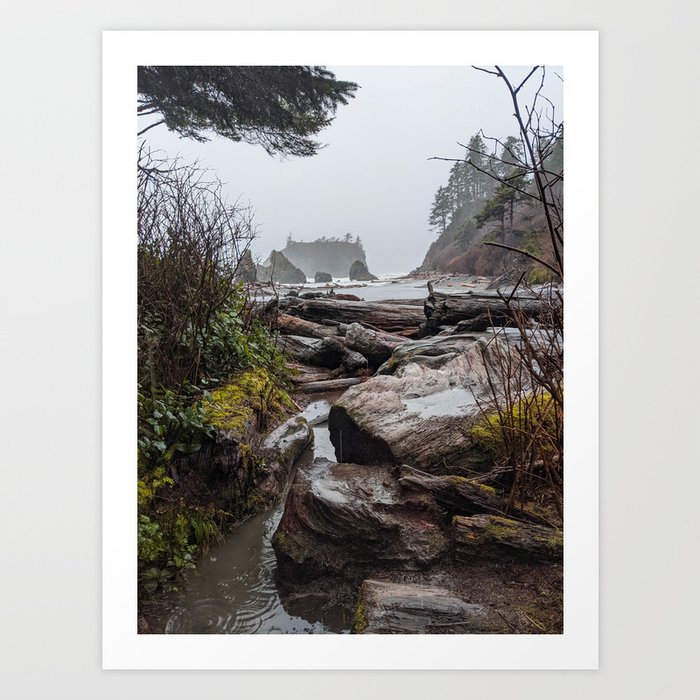 Rainy Washington Coast Art Print
