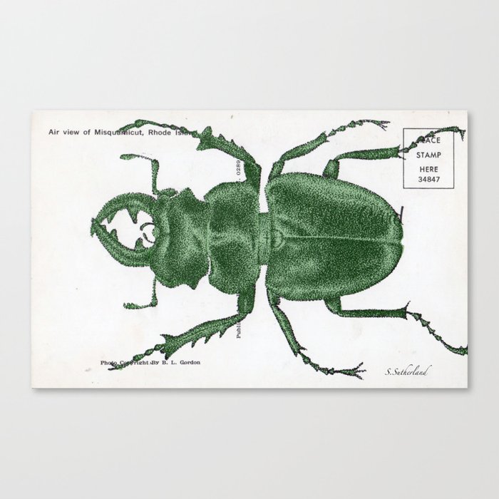 Green Beetle Postcard Canvas Print