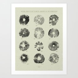 Spore Prints of North American Mushrooms (Black on White) Art Print