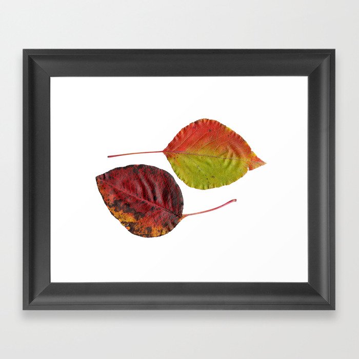 Fall Leaves Mother Nature Framed Art Print