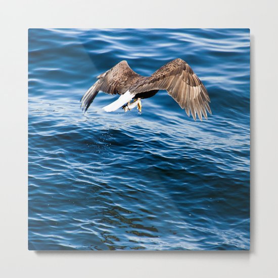 Eagle: Fast Food Metal Print