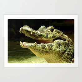 Friendly laughing crocodile Art Print