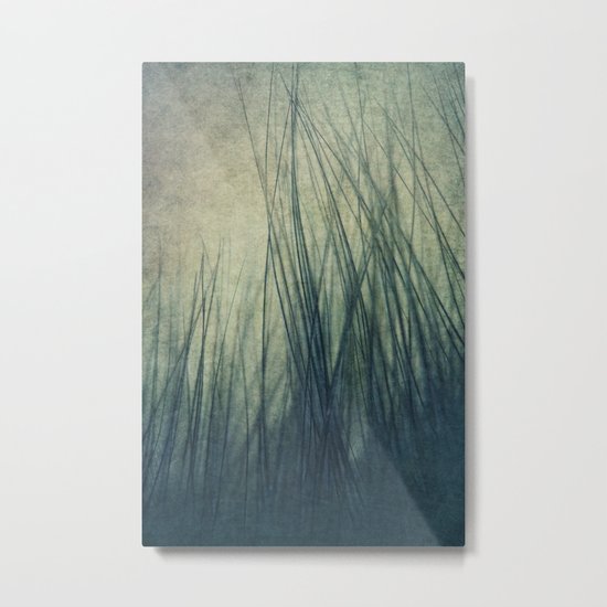 Feathered Metal Print
