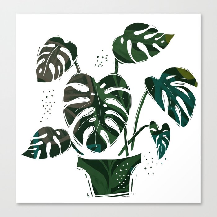 Monstera - Plant Canvas Print