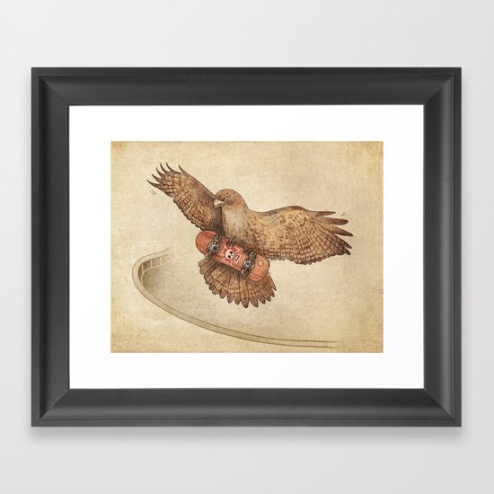 Hawk Framed Art Print