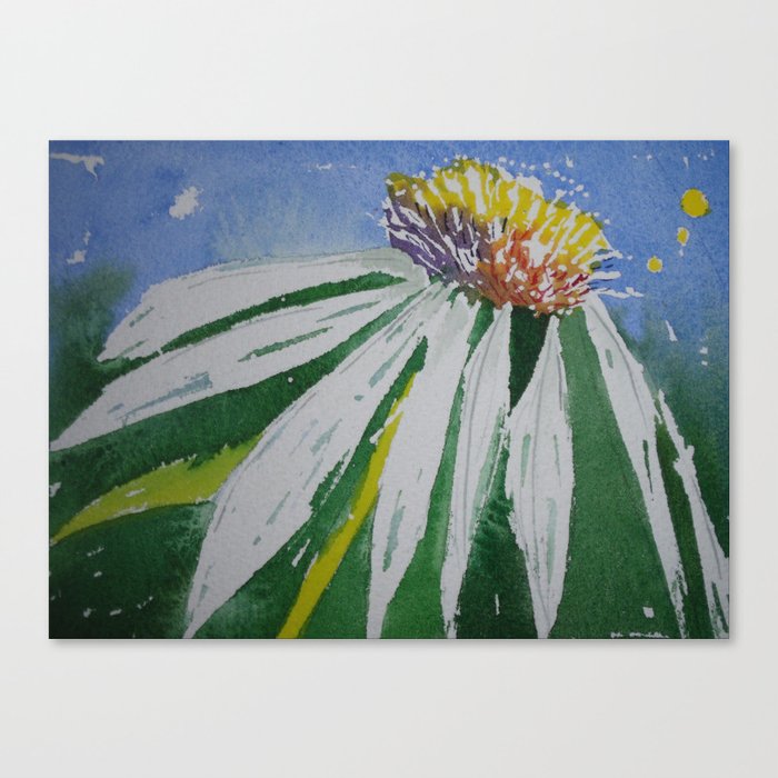 Single daisy Canvas Print