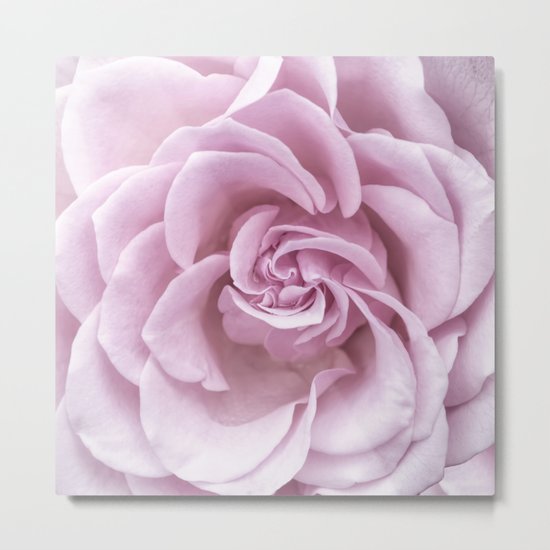 Pink Heart of a rose Roses Flowers Metal Print