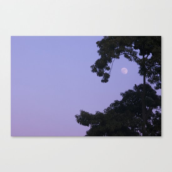 marvelous moondance Canvas Print