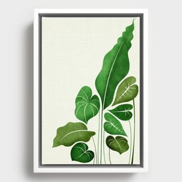 Cacophony Plant Illustration Framed Canvas