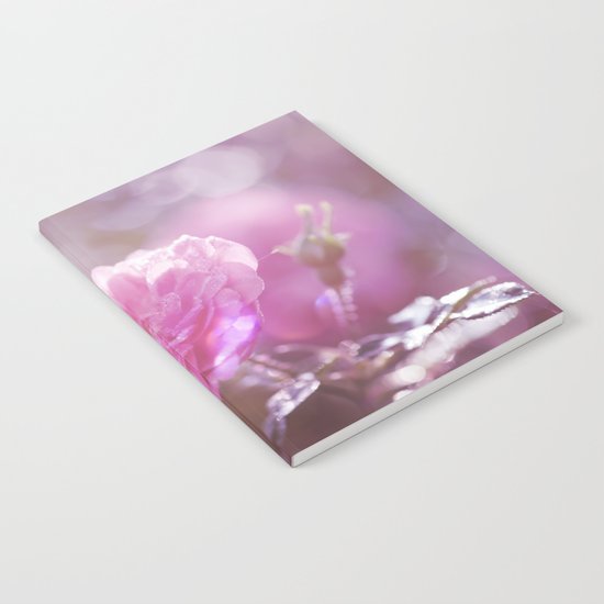 Autumn Roses at backlight - Roses and Flowers Notebook