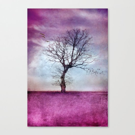 ATMOSPHERIC TREE | Pink Morning Canvas Print
