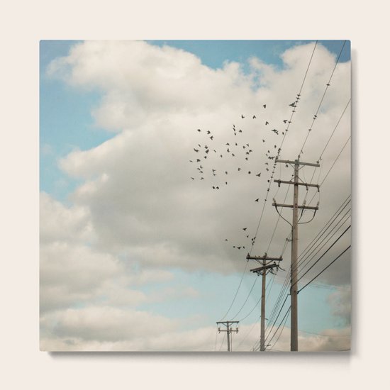 Sky Dance Metal Print