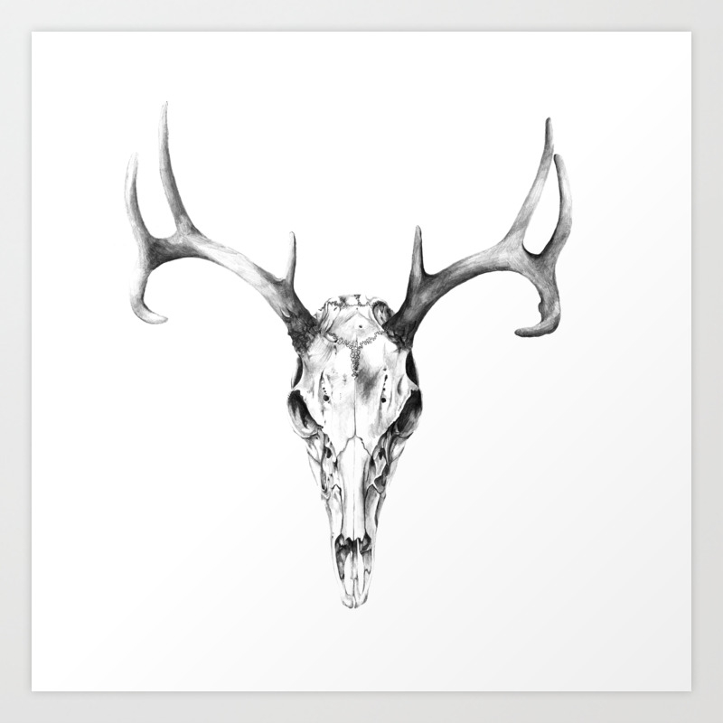 Deer Skull In Pencil Art Print By Jackyreynolds Society6