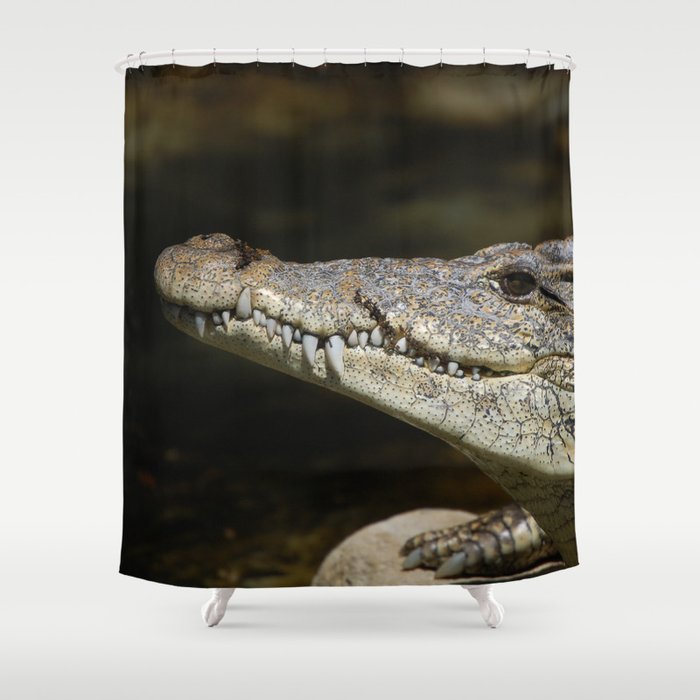 Crocodile Shower Curtain by Bunny+Bear Photography