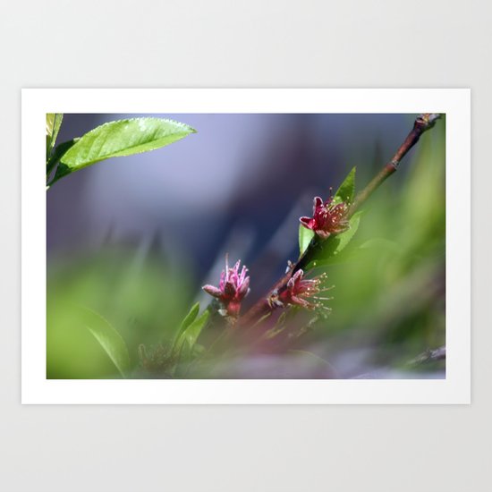 FOCUS Art Print