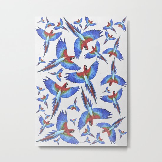 Parrot. Metal Print