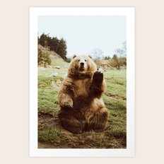 Hi Bear Art Print