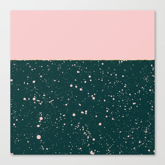 XVI - Rose 1 Canvas Print