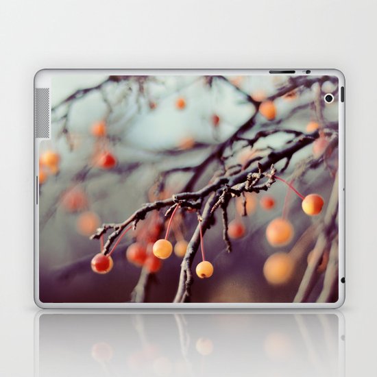 Marzipan Laptop & iPad Skin
