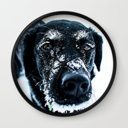 Snow Dog // Cross Country Skiing Black and White Animal Photography Winter Puppy Ice Fur Wall Clock