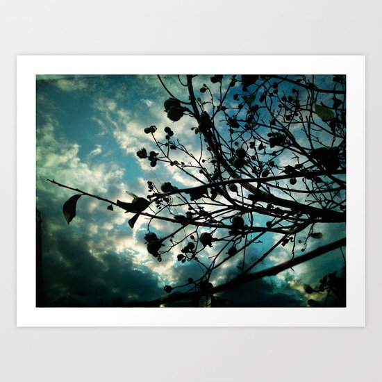 Buds and Branches Art Print