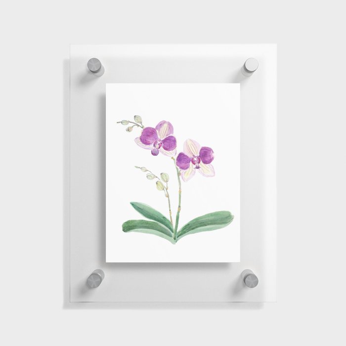 purple orchid watercolor  Floating Acrylic Print