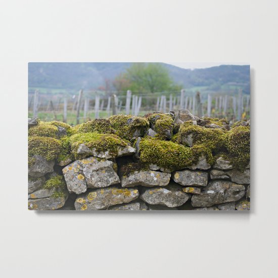 Vineyard Wall, Eastern France Metal Print