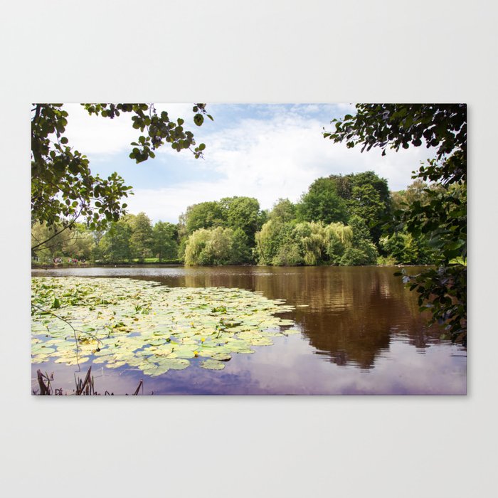 lake landscape with water lilies Canvas Print