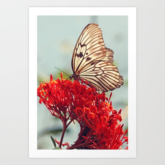 Flutter Art Print