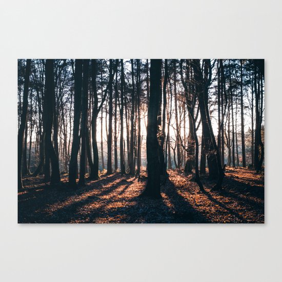 We're All Wild Canvas Print