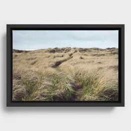 Oregon Dune Grass Adventure - Nature Photography Framed Canvas