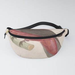 Vintage Print - New Collection of Colored Bird Plates (1838) - Diard's Trogon Fanny Pack