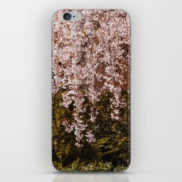 New York City cherry blossom iPhone Skin