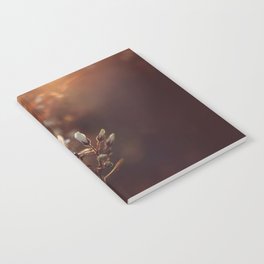 Fine art print Photography sunset nature Notebook